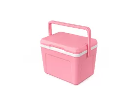 Bình đá nhựa mini