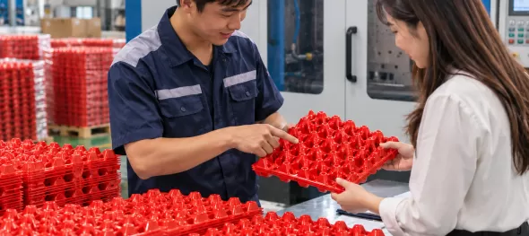 Dự Án Sản Xuất Vỉ Nhựa Đựng Trứng Gia Cầm Chuẩn Chất Lượng